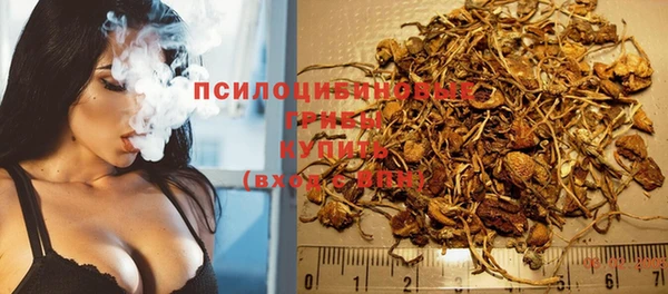 сатива Алексин