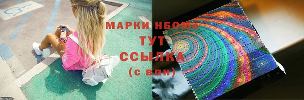гидропоника Алзамай