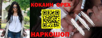 амф Кандалакша