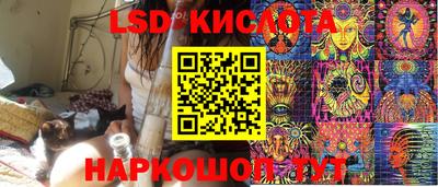 амф Кандалакша
