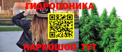 наркотики Камышлов