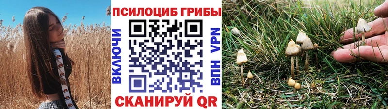 Псилоцибиновые грибы MAGIC MUSHROOMS  Новоалтайск 