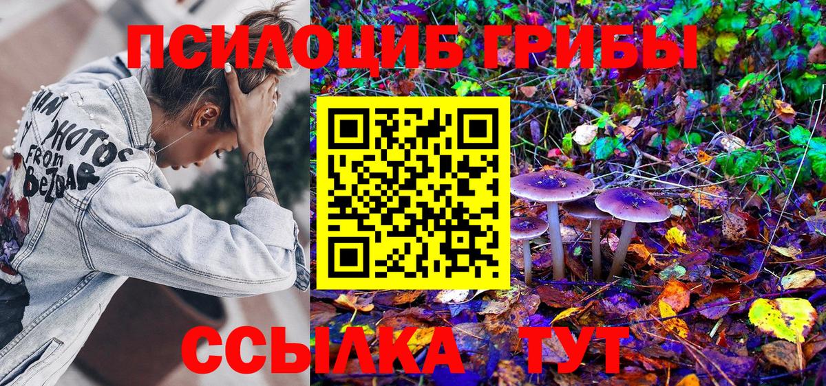 Галлюциногенные грибы мухоморы  Вход с VPN  Галлюциногенные грибы ЛСД  Новоалтайск 